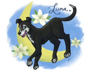 Luna Portrait